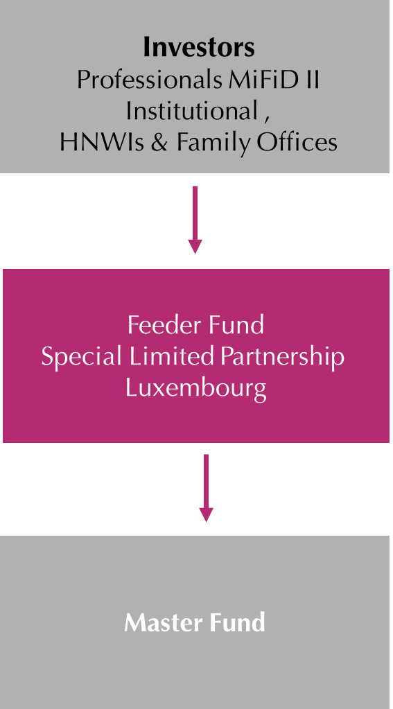 What is feeder fund forex strategy 3 elder screens