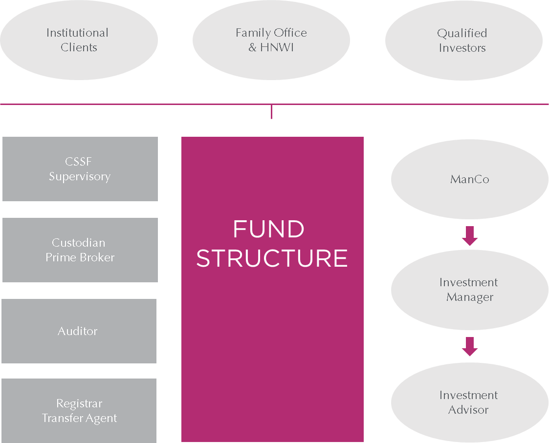 luxembourg investment fund vehicles