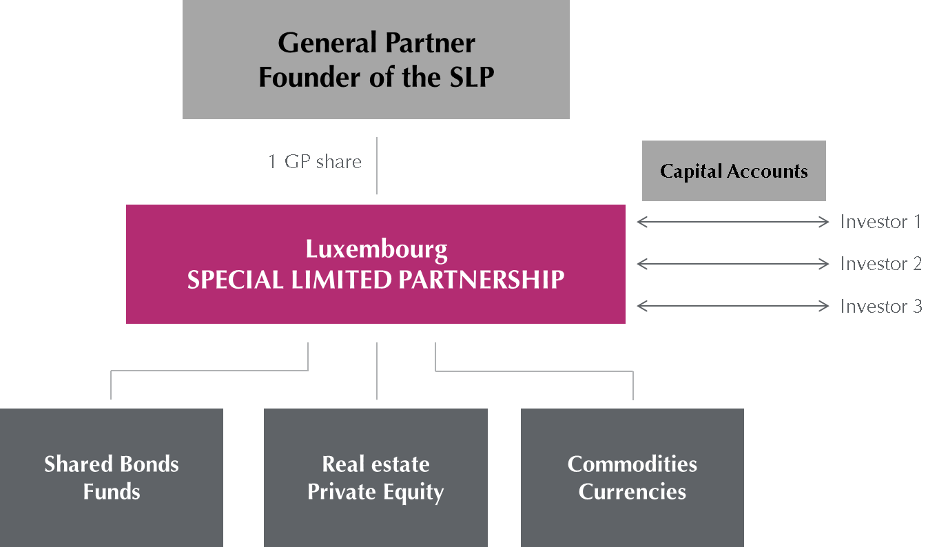 Special Limited Partnership Capital Account Special Limited Partnership Capital Account