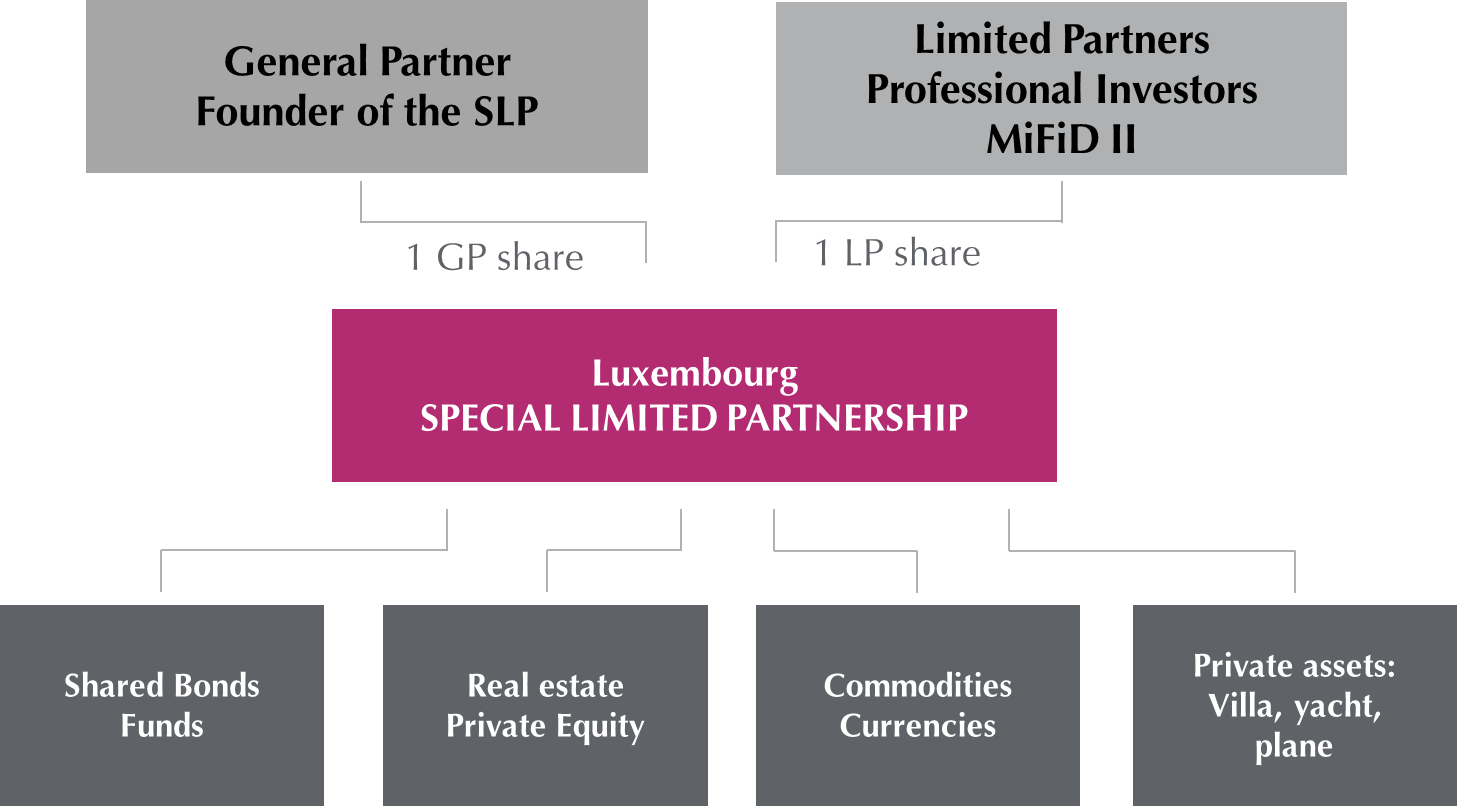 Special Limited Partnership Slp As An Alternative Investment Fund