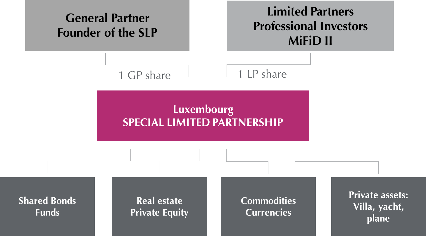 Special Limited Partnership Slp Special Limited Partnership Slp